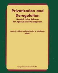 bokomslag Privatization and Deregulation