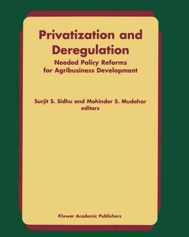 bokomslag Privatization and Deregulation