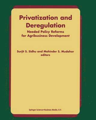 Sidhu - Privatization and Deregulation, Häftad