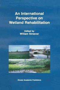 bokomslag An International Perspective on Wetland Rehabilitation