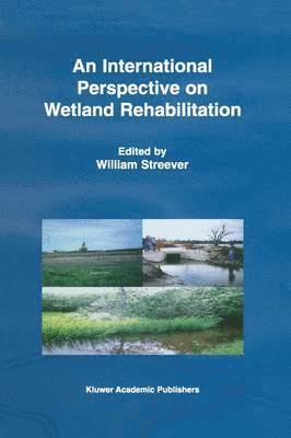 An International Perspective on Wetland Rehabilitation 1