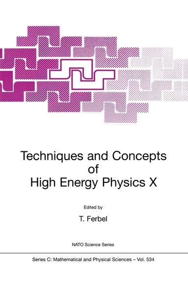 Thomas Ferbel - Techniques and Concepts of High Energy Physics X, Inbunden
