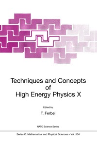 bokomslag Techniques and Concepts of High Energy Physics X