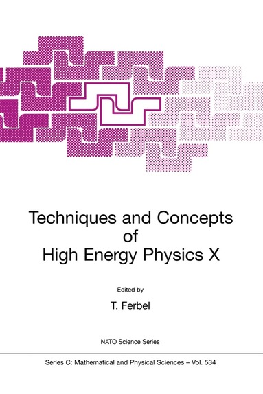 bokomslag Techniques and Concepts of High Energy Physics X