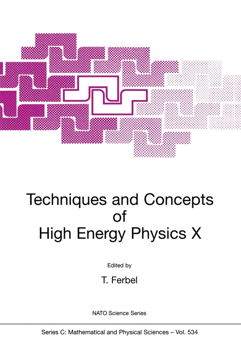 Thomas Ferbel - Techniques and Concepts of High Energy Physics X, Häftad