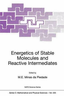 M.E. Minas da Piedade, M. E. Minas Da Piedade - Energetics of Stable Molecules and Reactive Intermediates, Häftad