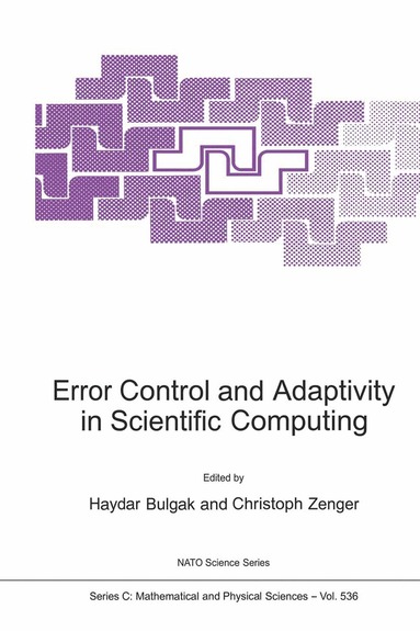 Haydar Bulgak, Christoph Zenger - Error Control and Adaptivity in Scientific Computing, Häftad