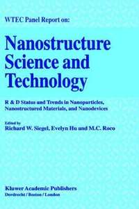 bokomslag Nanostructure Science and Technology