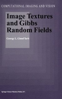 bokomslag Image Textures and Gibbs Random Fields