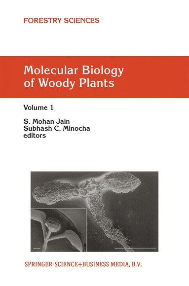 bokomslag Molecular Biology of Woody Plants
