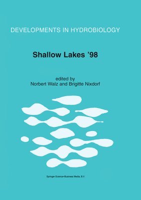Shallow Lakes 98 1