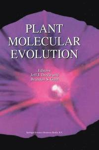 bokomslag Plant Molecular Evolution