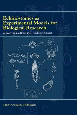 Bernard Fried, T.K. Graczyk, T. K. Graczyk - Echinostomes as Experimental Models for Biological Research, Inbunden