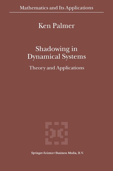 bokomslag Shadowing in Dynamical Systems