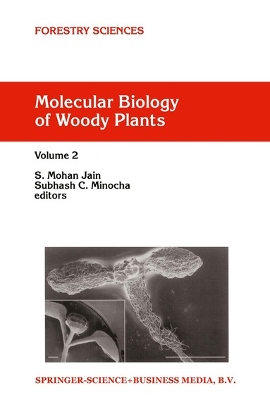S.M. Jain, S.C. Minocha - Molecular Biology of Woody Plants, Inbunden