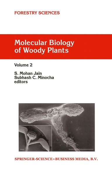 bokomslag Molecular Biology of Woody Plants