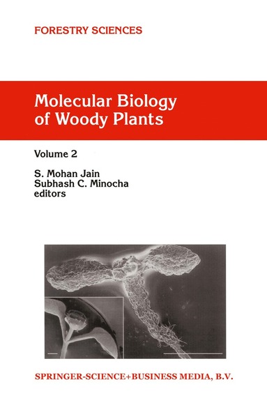 bokomslag Molecular Biology of Woody Plants