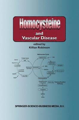Homocysteine and Vascular Disease 1