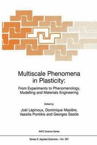 bokomslag Multiscale Phenomena in Plasticity: From Experiments to Phenomenology, Modelling and Materials Engineering