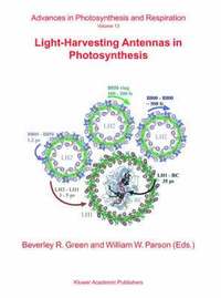 bokomslag Light-Harvesting Antennas in Photosynthesis
