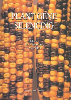 bokomslag Plant Gene Silencing