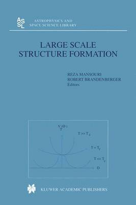 bokomslag Large Scale Structure Formation