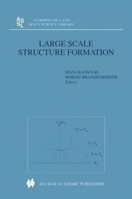 Large Scale Structure Formation 1