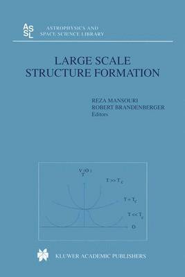 Reza Mansouri, Robert Brandenberger - Large Scale Structure Formation, Inbunden