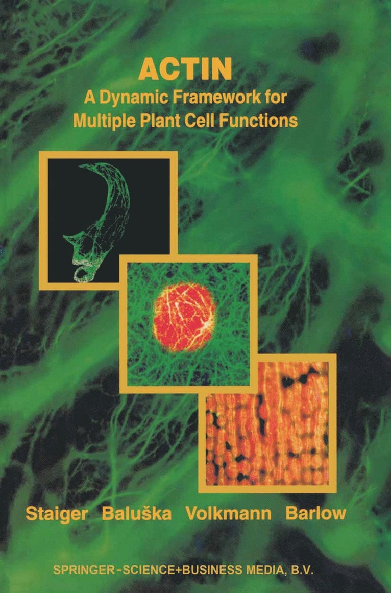 Christopher J. Staiger, Frantisek Baluska, D. Volkmann, P. Barlow - Actin: A Dynamic Framework for Multiple Plant Cell Functions, Inbunden