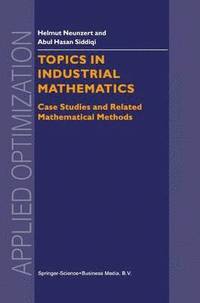 bokomslag Topics in Industrial Mathematics