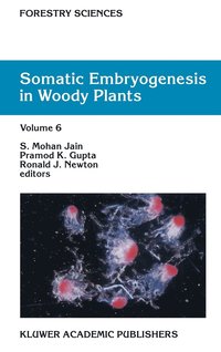 bokomslag Somatic Embryogenesis in Woody Plants