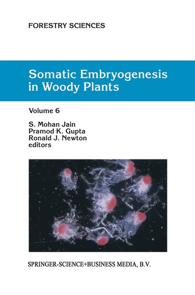 bokomslag Somatic Embryogenesis in Woody Plants