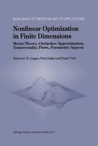 bokomslag Nonlinear Optimization in Finite Dimensions