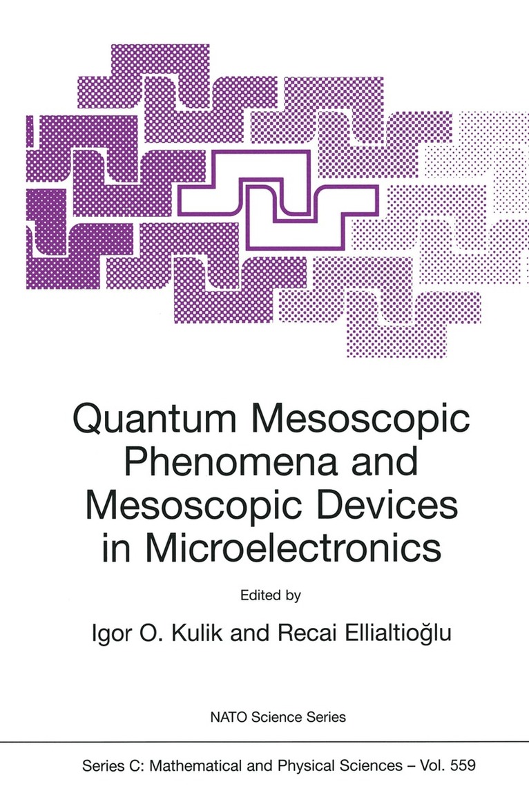 Igor O. Kulik, Igor O. Kulik, Recai Ellialtiogammalu - Quantum Mesoscopic Phenomena and Mesoscopic Devices in Microelectronics, Häftad