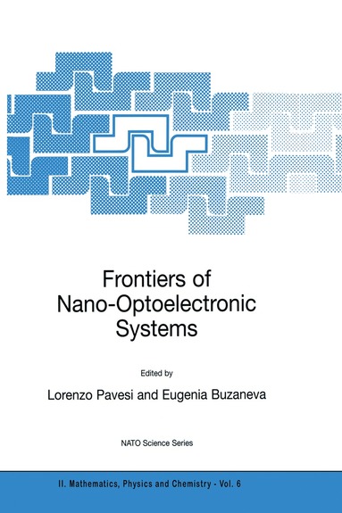 Lorenzo Pavesi, Eugenia V. Buzaneva - Frontiers of Nano-Optoelectronic Systems, Häftad