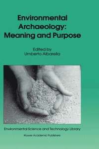 bokomslag Environmental Archaeology: Meaning and Purpose