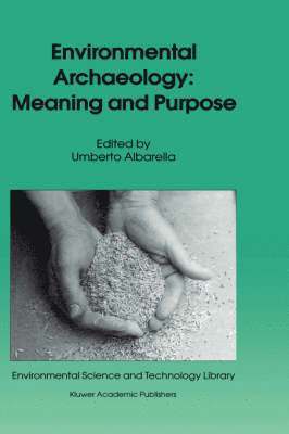 bokomslag Environmental Archaeology: Meaning and Purpose