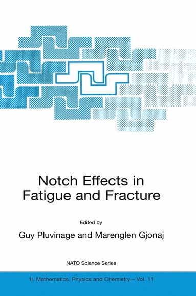 bokomslag Notch Effects in Fatigue and Fracture