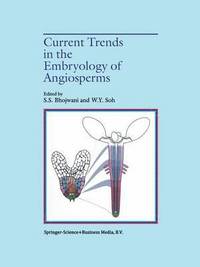 bokomslag Current Trends in the Embryology of Angiosperms
