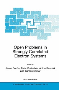 bokomslag Open Problems in Strongly Correlated Electron Systems