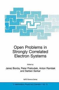 bokomslag Open Problems in Strongly Correlated Electron Systems
