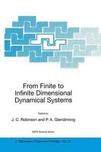 bokomslag From Finite to Infinite Dimensional Dynamical Systems