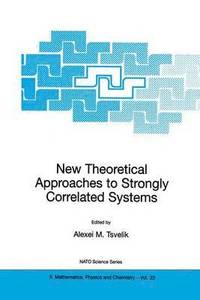 bokomslag New Theoretical Approaches to Strongly Correlated Systems