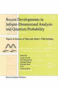 bokomslag Recent Developments in Infinite-Dimensional Analysis and Quantum Probability