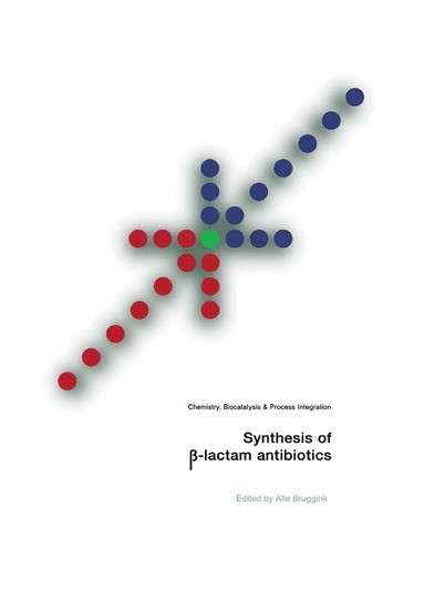 bokomslag Synthesis of -Lactam Antibiotics