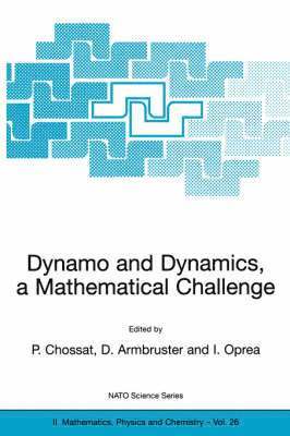 Pascal Chossat, Dieter Armbruster, Iuliana Oprea - Dynamo and Dynamics, a Mathematical Challenge, Inbunden