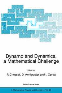 bokomslag Dynamo and Dynamics, a Mathematical Challenge