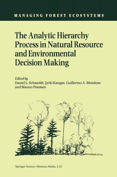 Daniel Schmoldt, Jyrki Kangas, Guillermo A. Mendoza, Mauno Pesonen - Analytic Hierarchy Process in Natural Resource and Environmental Decision Making, Inbunden