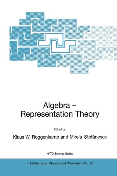 bokomslag Algebra - Representation Theory