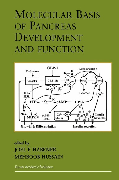 Joel F. Habener, Mehboob Hussain - Molecular Basis of Pancreas Development and Function, Inbunden